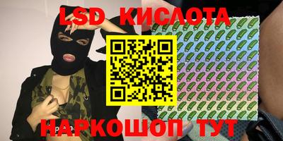 PSILOCYBIN Можга