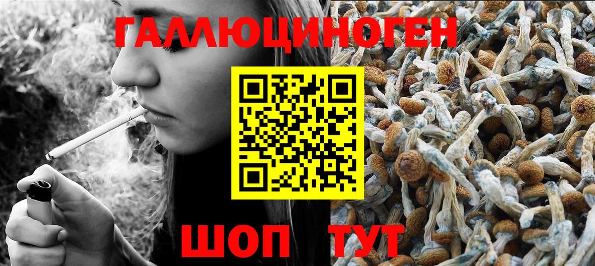 Галлюциногенные грибы прущие грибы Первоуральск
